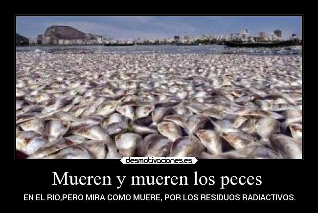 Mueren y mueren los peces  - 