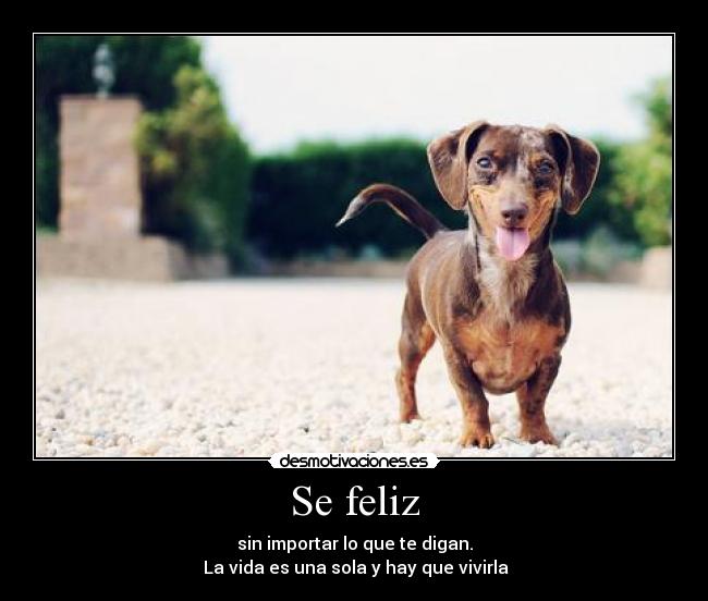 Se feliz - sin importar lo que te digan.
La vida es una sola y hay que vivirla