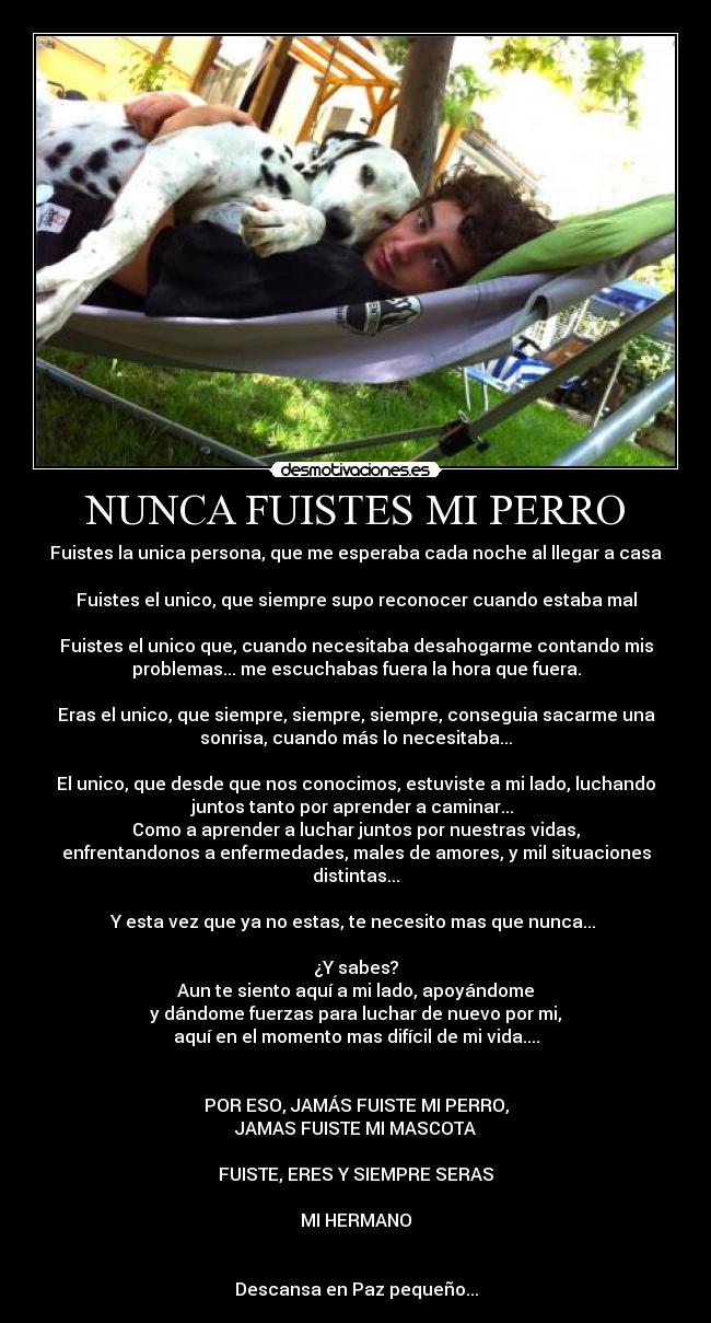 NUNCA FUISTES MI PERRO - 