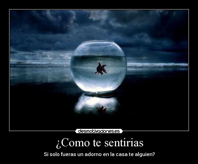 carteles sandruky98 desmotivaciones