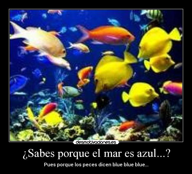 ¿Sabes porque el mar es azul...? - 
