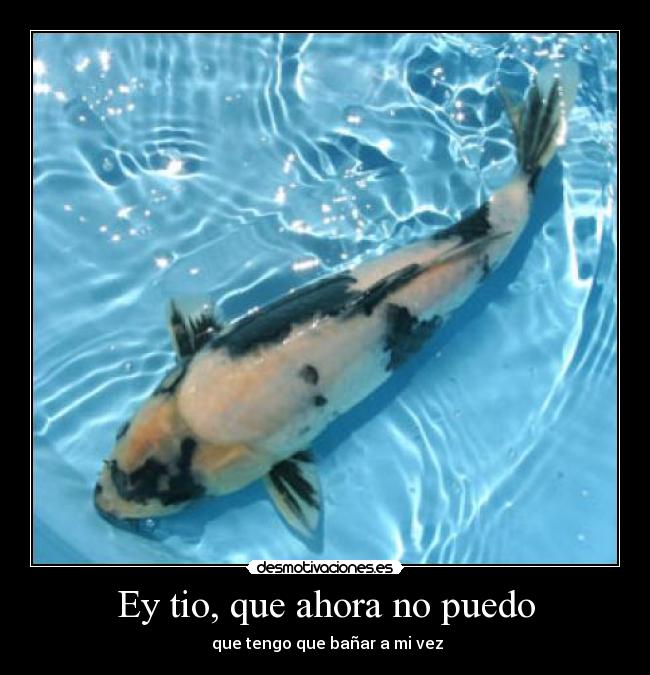 Ey tio, que ahora no puedo - que tengo que bañar a mi vez