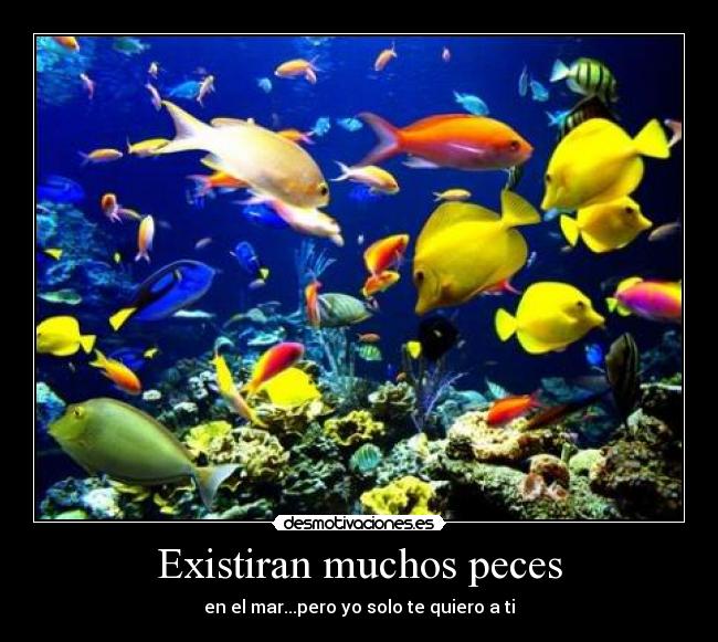 Existiran muchos peces -