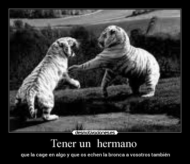 carteles desmotivaciones