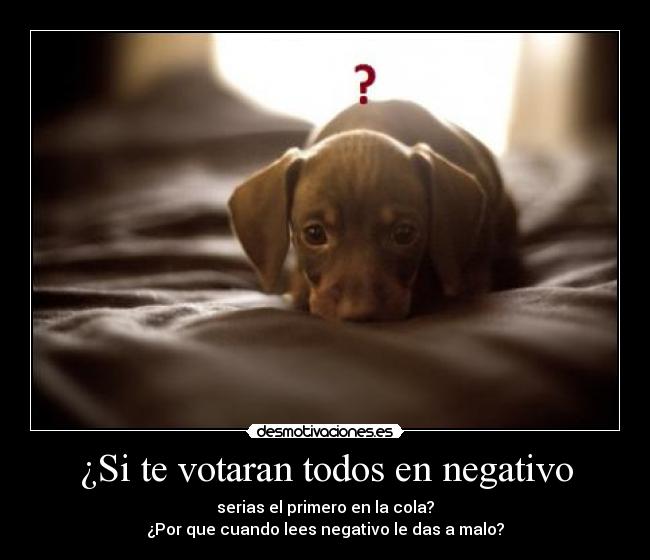 ¿Si te votaran todos en negativo -