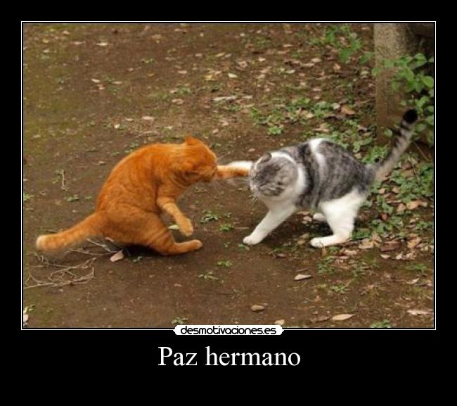 Paz hermano -