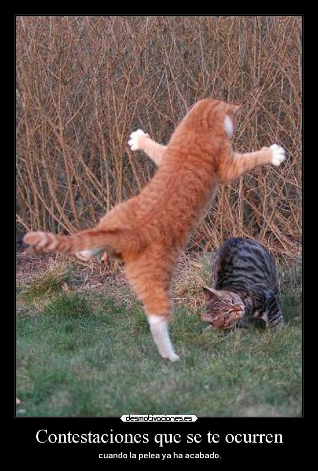 Contestaciones que se te ocurren -