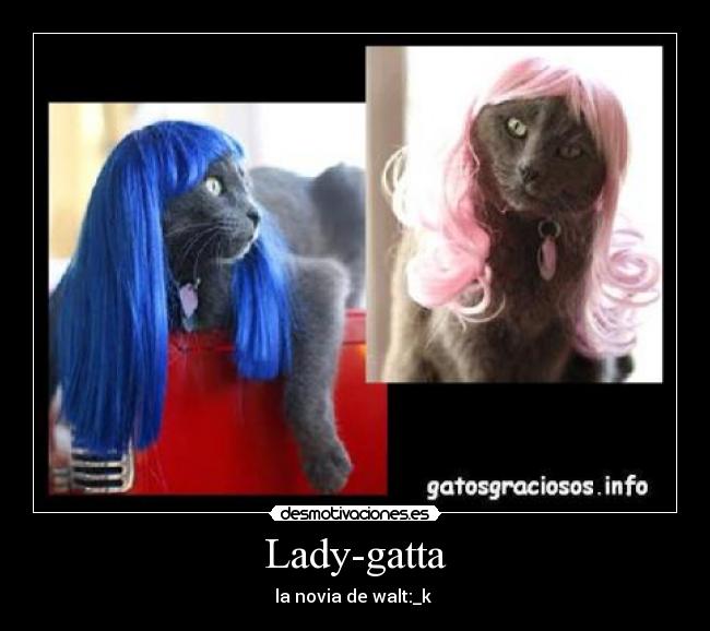 Lady-gatta -
