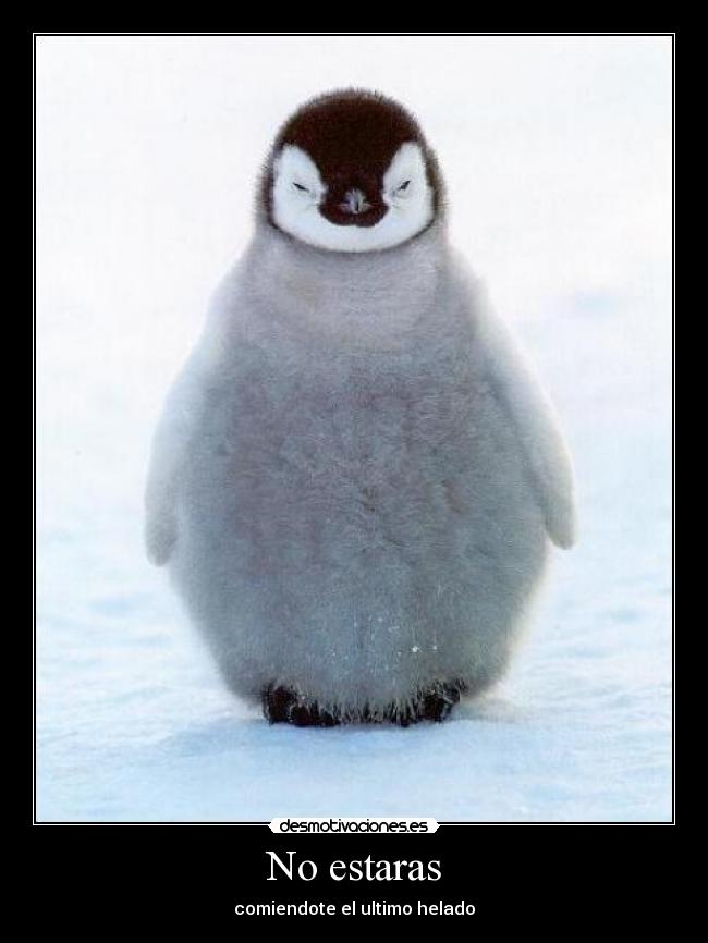 No estaras - comiendote el ultimo helado