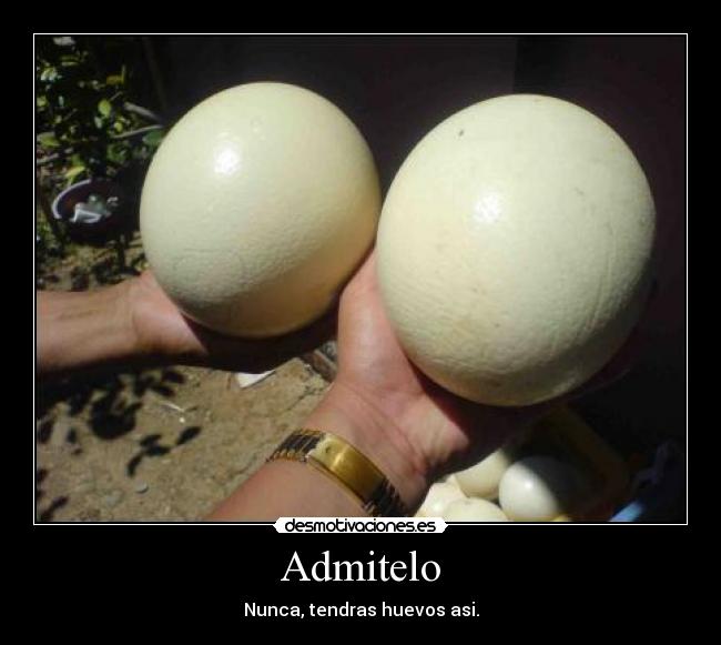 Admitelo - Nunca, tendras huevos asi.