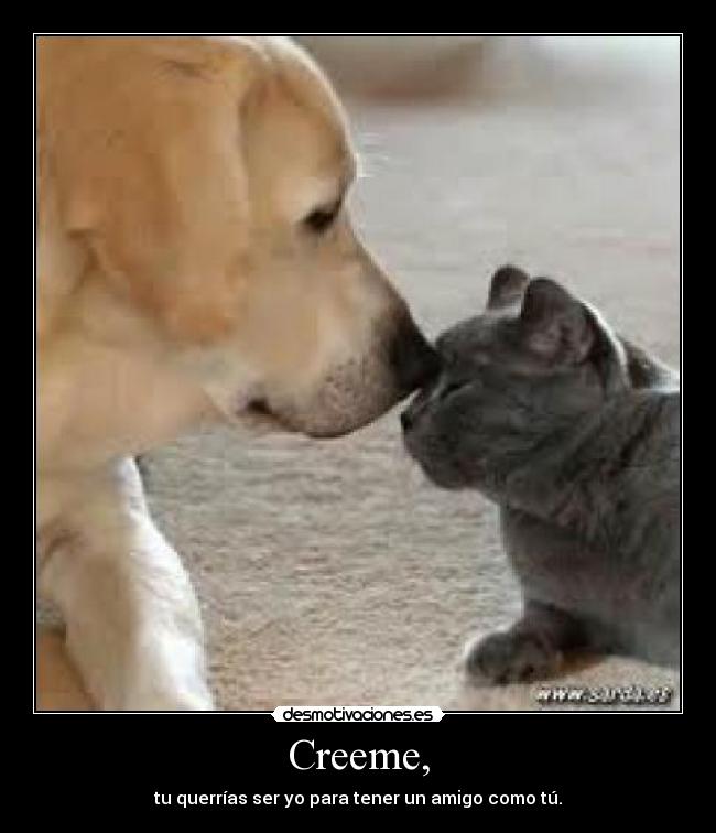 Creeme, - tu querrías ser yo para tener un amigo como tú.