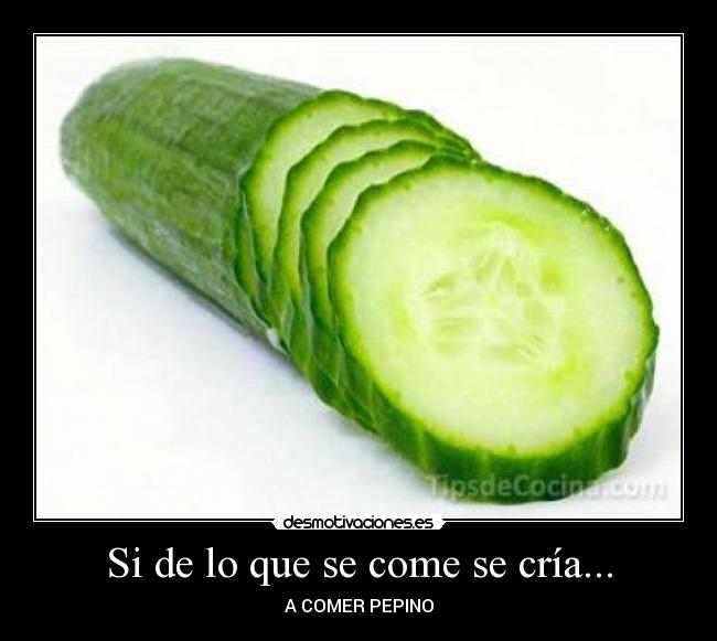 Si de lo que se come se cría... - A COMER PEPINO