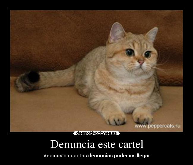 Denuncia este cartel -