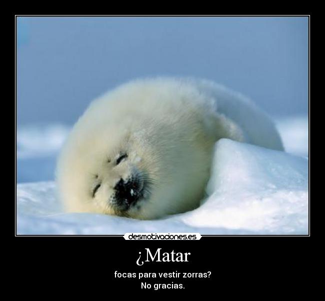 ¿Matar - focas para vestir zorras?
No gracias.