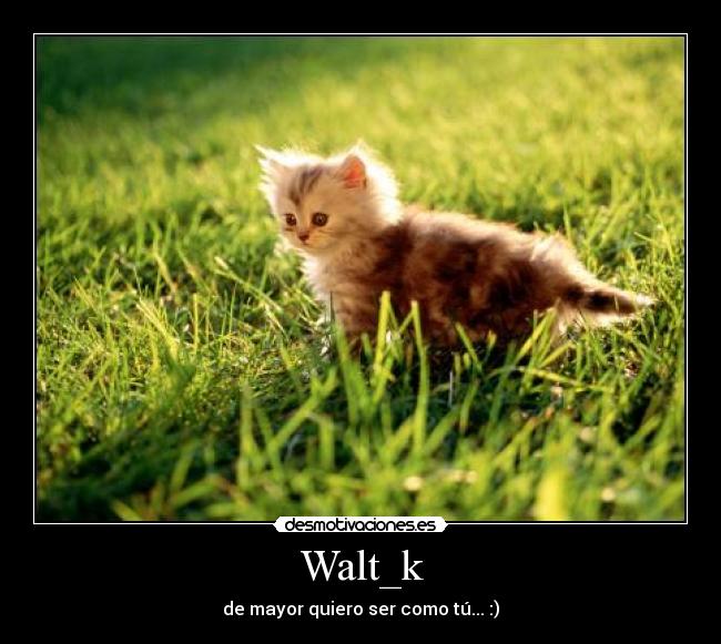 Walt_k -