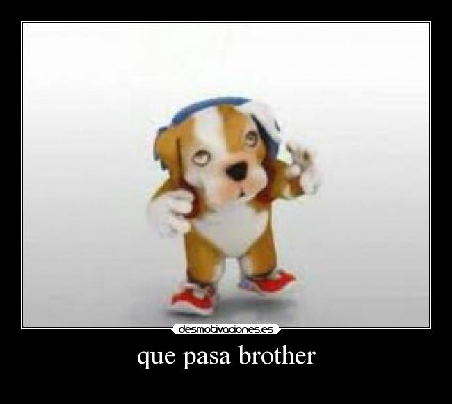 que pasa brother - 