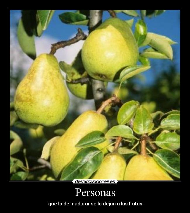 Personas - 