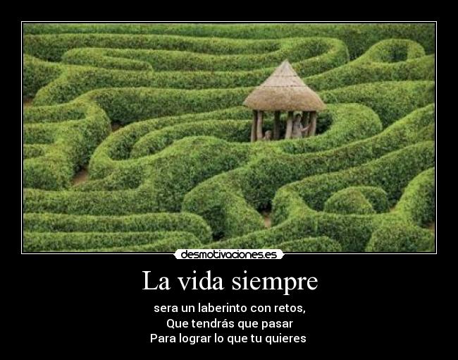 La vida siempre -