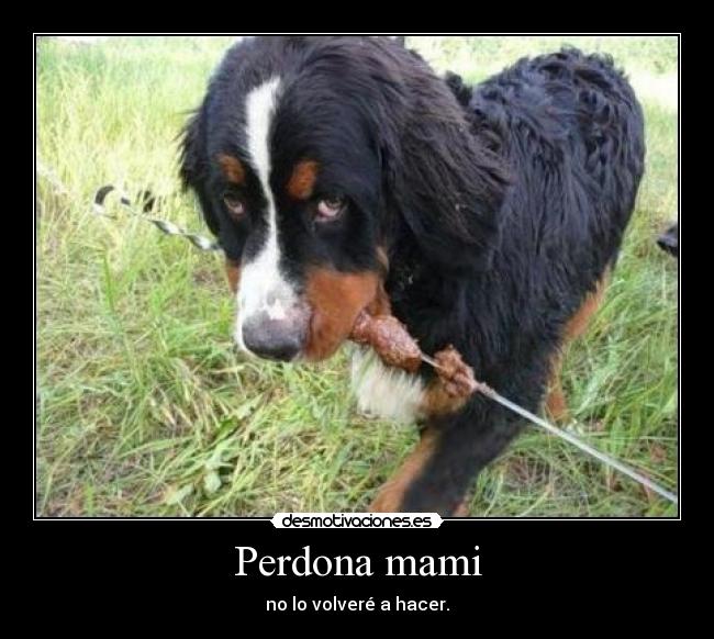 Perdona mami - no lo volveré a hacer.