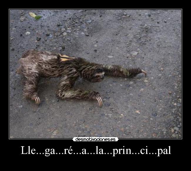 Lle...ga...ré...a...la...prin...ci...pal -