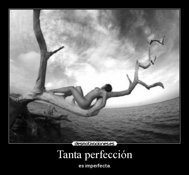 carteles perfeccion imperfeccion desmotivaciones
