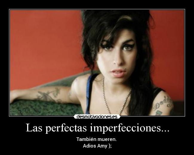 Las perfectas imperfecciones... - 