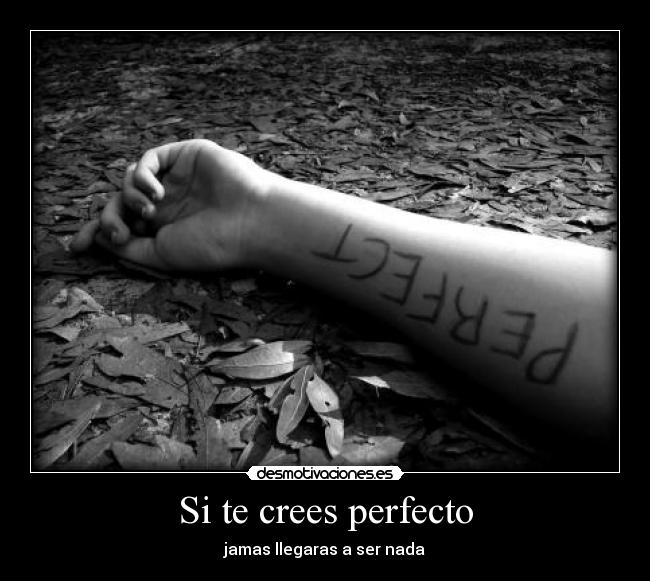 Si te crees perfecto - jamas llegaras a ser nada