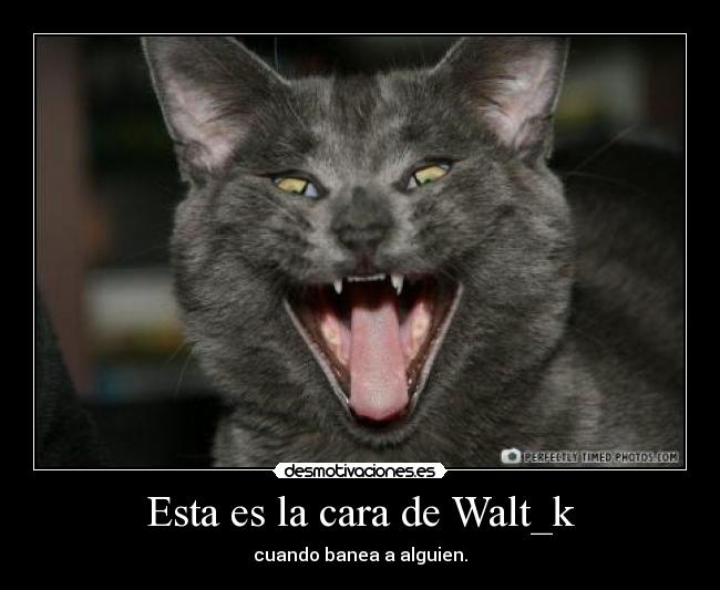 Esta es la cara de Walt_k - cuando banea a alguien.