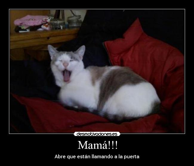 Mamá!!! - 