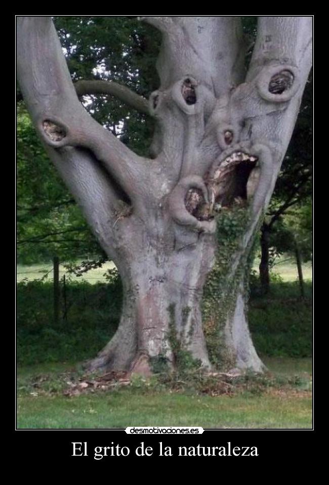 El grito de la naturaleza -