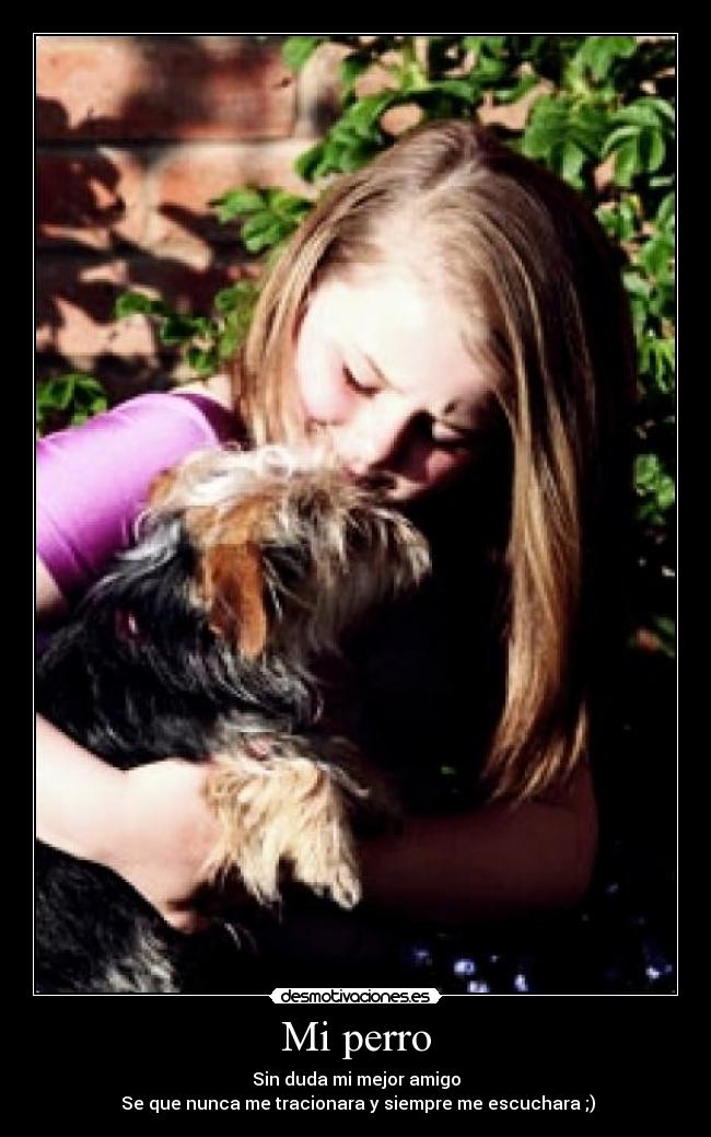 Mi perro -