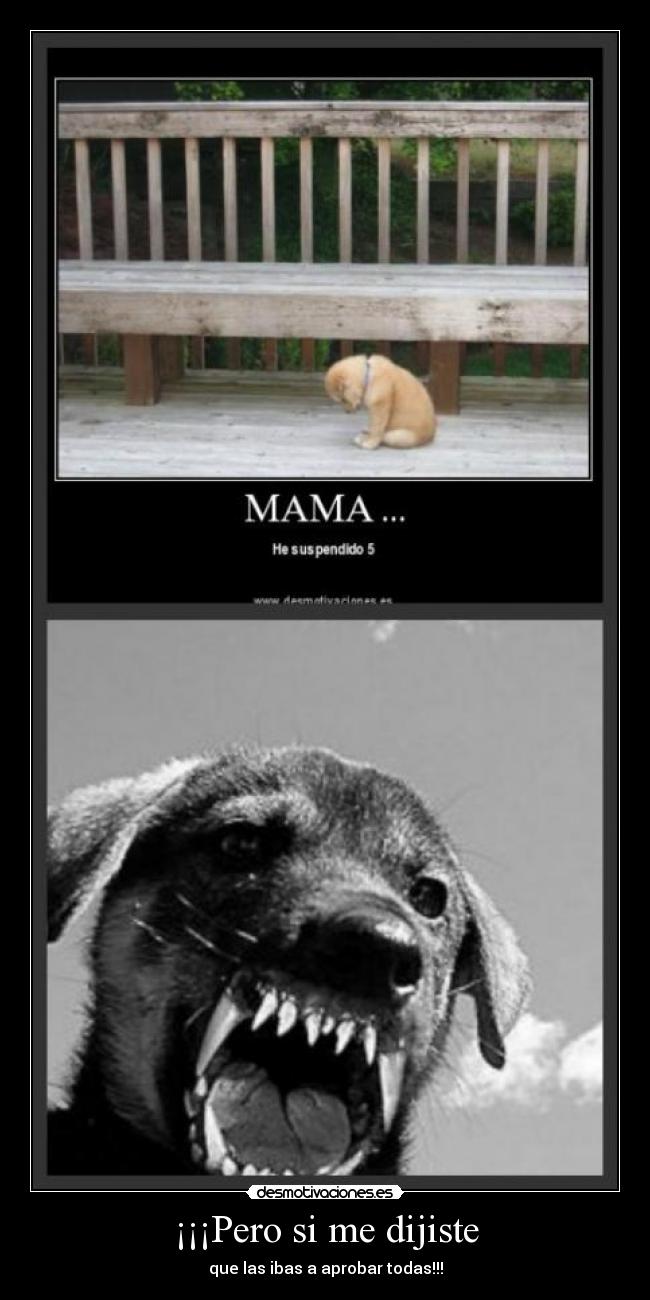 ¡¡¡Pero si me dijiste - que las ibas a aprobar todas!!!