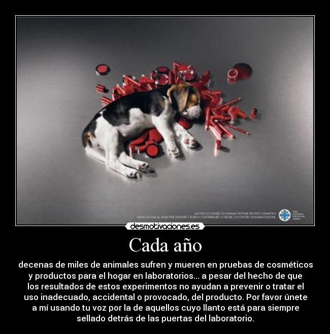 carteles experimenatcion animal desmotivaciones