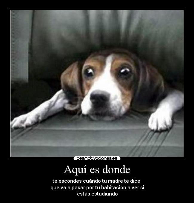 Aquí es donde - te escondes cuándo tu madre te dice 
que va a pasar por tu habitación a ver si
estás estudiando