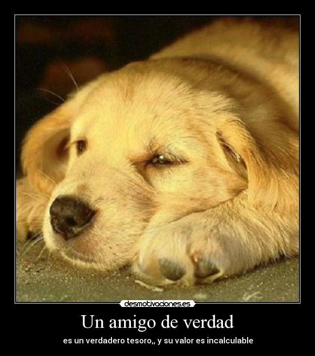 Un amigo de verdad - 