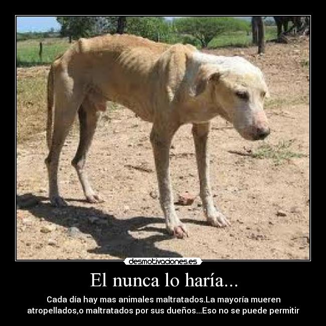 El nunca lo haría... - 