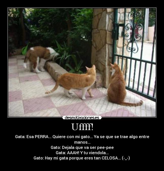 Uffff! - Gata: Esa PERRA... Quiere con mi gato... Ya se que se trae algo entre manos...
Gato: Dejala que va ser pee-pee
Gata: AAAH! Y tu viendola...
Gato: Hay mi gata porque eres tan CELOSA... (-_-) 
