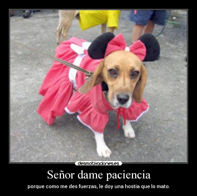 Señor dame paciencia - 