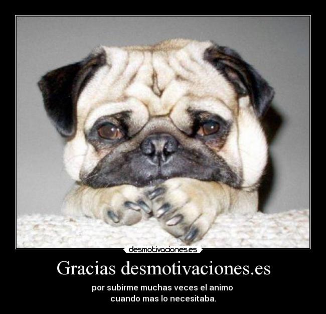 Gracias desmotivaciones.es - 