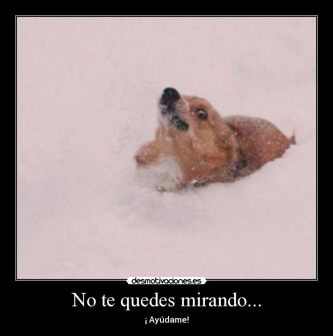 No te quedes mirando... - ¡ Ayúdame!