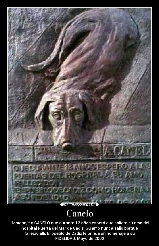 Canelo - Homenaje a CANELO que durante 12 años esperó que saliera su amo del
hospital Puerta del Mar de Cádiz. Su amo nunca salió porque
falleció allí. El pueblo de Cádiz le brinda un homenaje a su
FIDELIDAD. Mayo de 2002