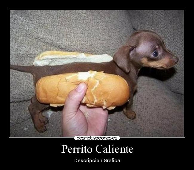 carteles fran desmotivaciones