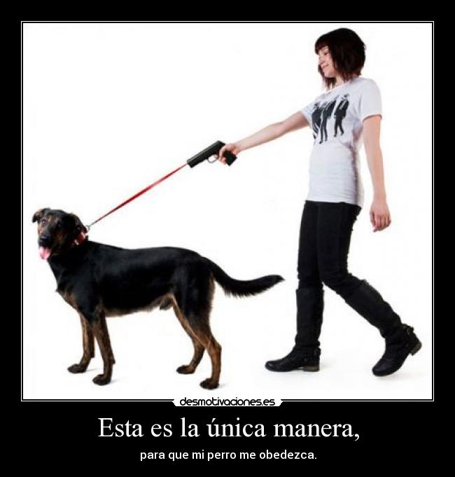 Esta es la única manera, - para que mi perro me obedezca.