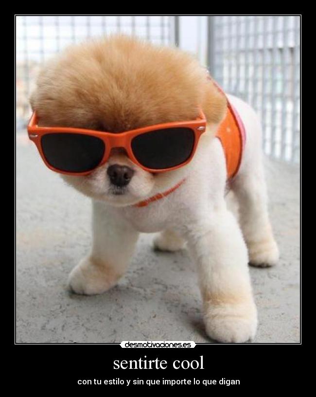 sentirte cool - con tu estilo y sin que importe lo que digan