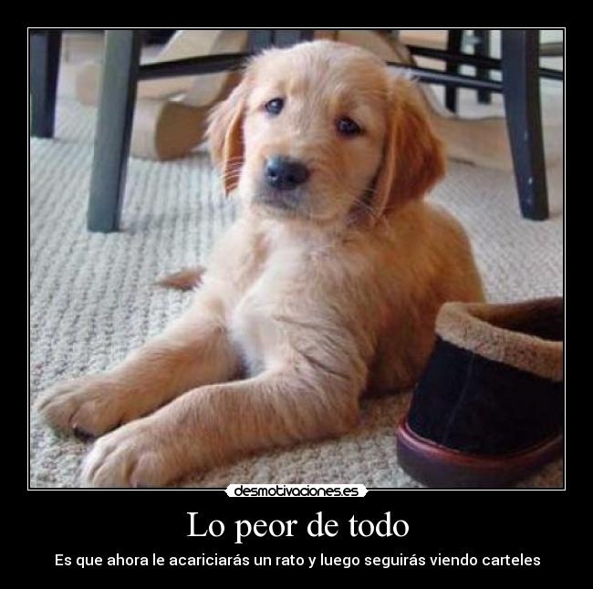 Lo peor de todo - Es que ahora le acariciarás un rato y luego seguirás viendo carteles
