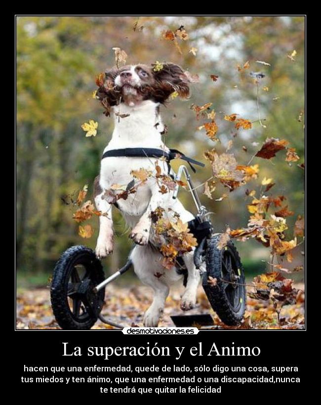 La superación y el Animo - 
