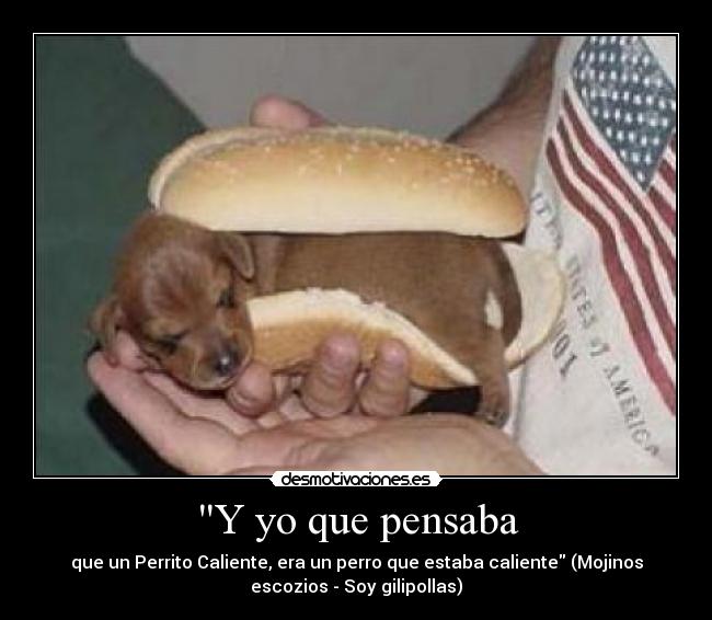Y yo que pensaba - que un Perrito Caliente, era un perro que estaba caliente (Mojinos
escozios - Soy gilipollas)