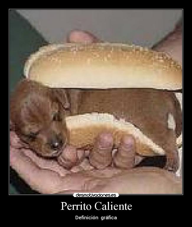 Perrito Caliente -