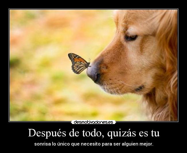 Después de todo, quizás es tu - sonrisa lo único que necesito para ser alguien mejor.