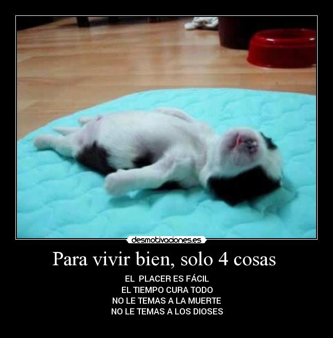 carteles frases filosofia temer muerte dioses placer tiempo vivir desmotivaciones